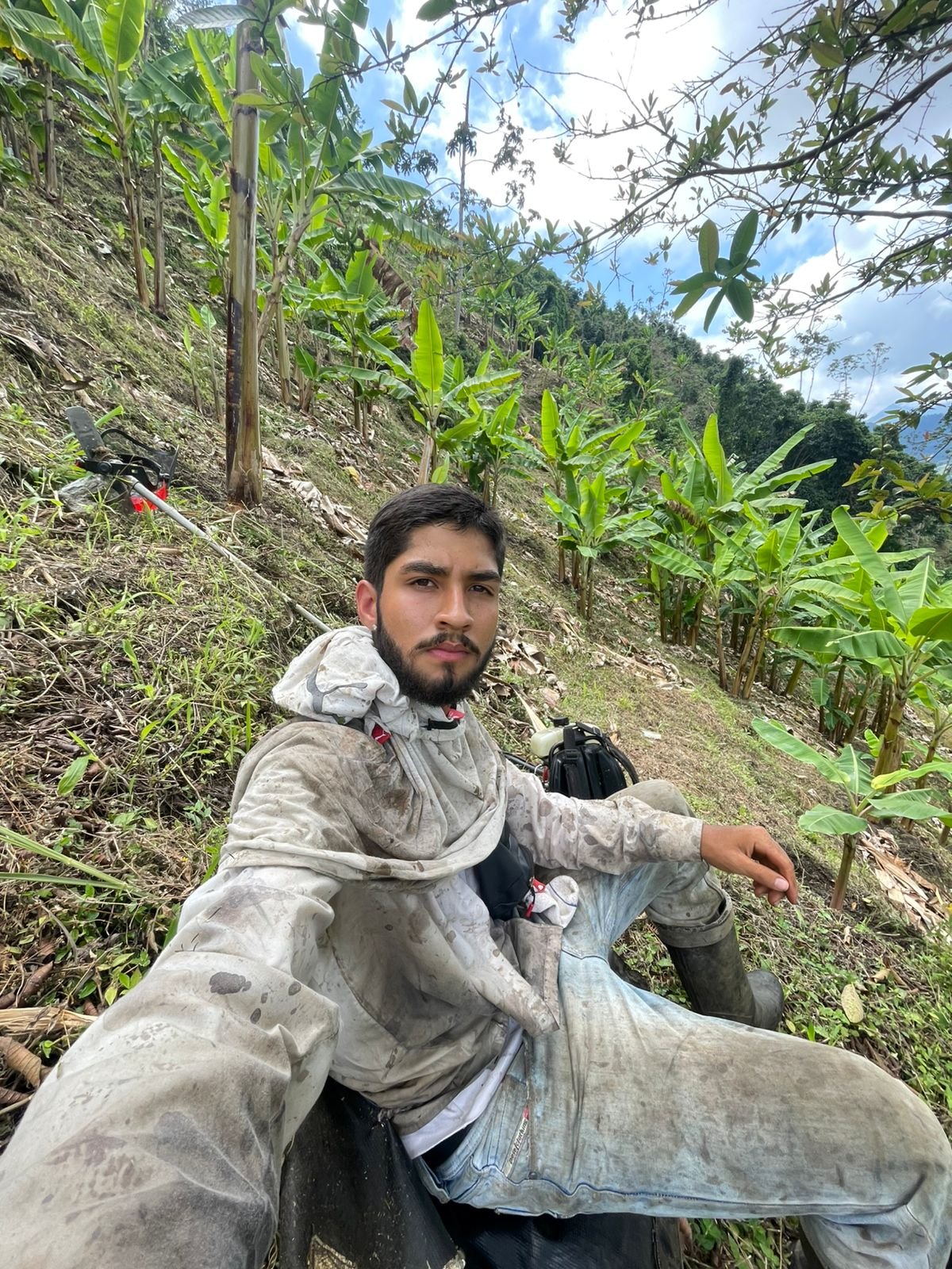 Trabajando en la plantación
